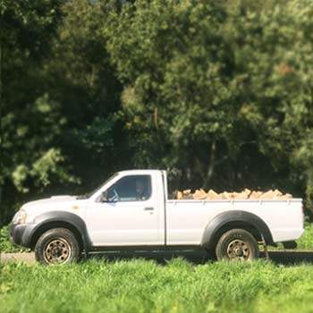 Pickup-with-logs